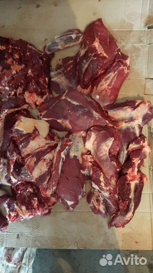 Говяжия мякоть