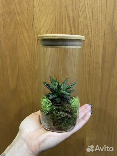 Флорариум «Крошка»