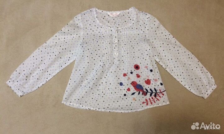 Лонгсливы разные