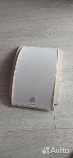 Настенный громкоговоритель Roxton