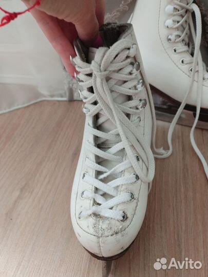 Фигурные коньки wifa prima set 27