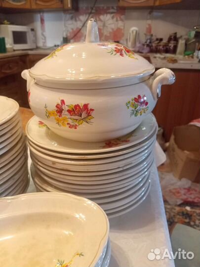 Тарелки для огорода, дачи