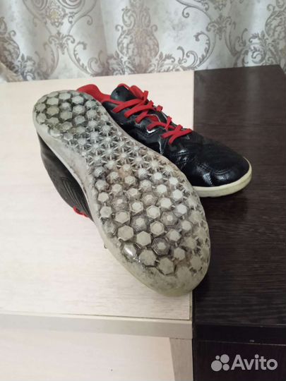 Сороконожки