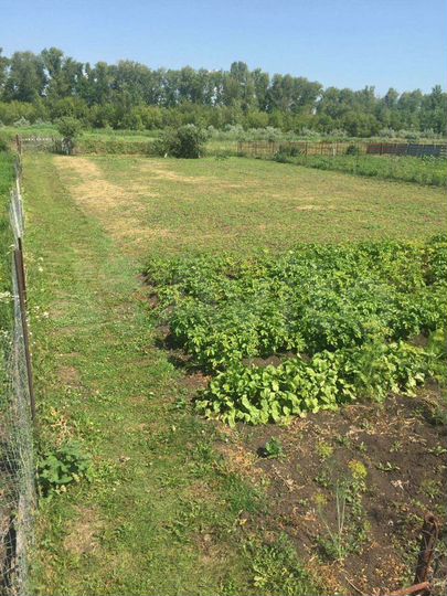 Участок 8 сот. (ИЖС)