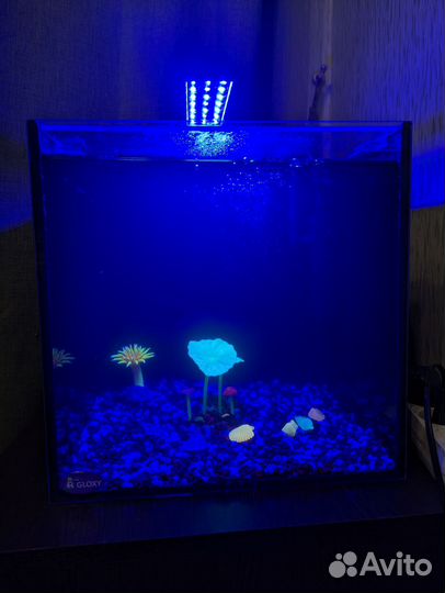 Аквариум Gloxy Glow Set-27