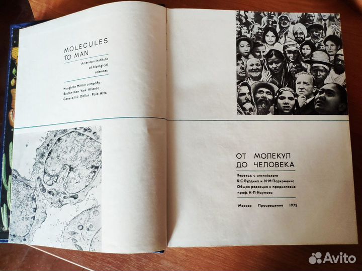 Книга От молекул до человека