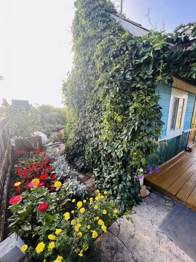 Дача 20 м² на участке 6 сот.