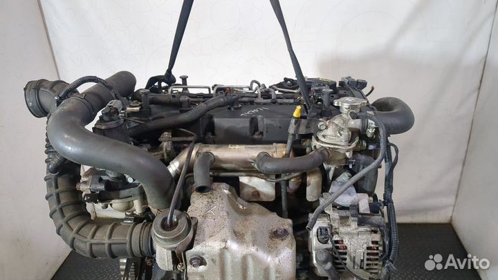 Двигатель киа Carnival, 2008