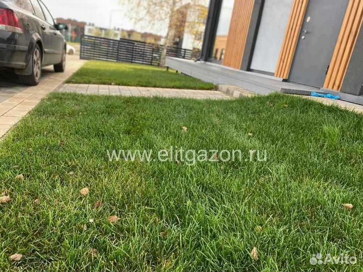 Рулонный газон напрямую от производителя