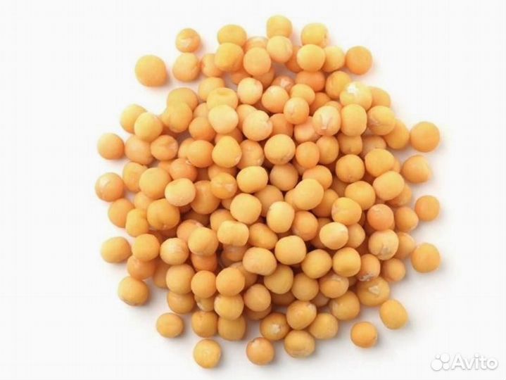 Горох шлифованный. Оптом от 1 тонны