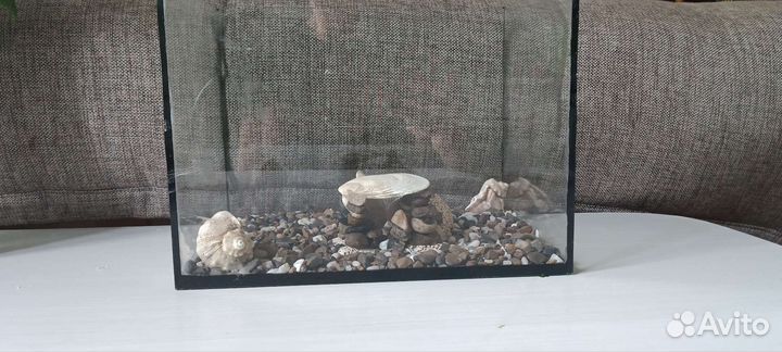 Аквариум 10 литров