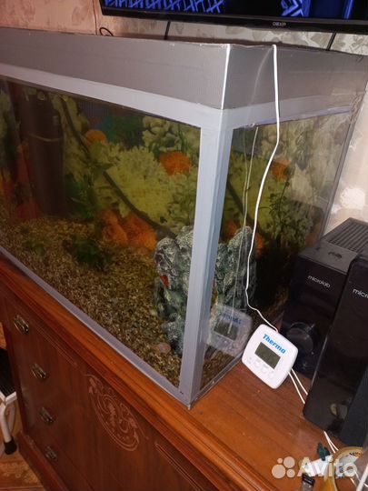 Аквариум 100л