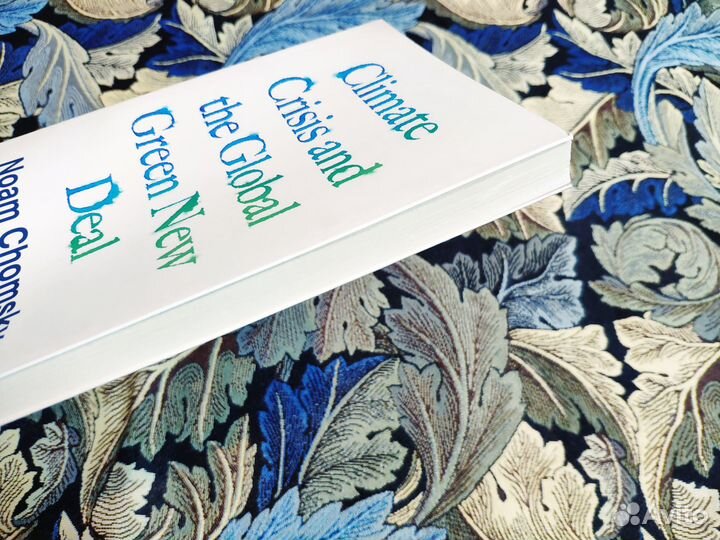 The Climate Crisis - Noam Chomsky