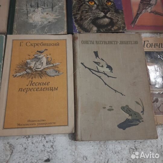 Книги про животных