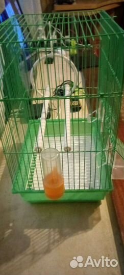 Клетка для попугая бу