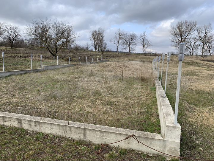 Участок 8 сот. (СНТ, ДНП)