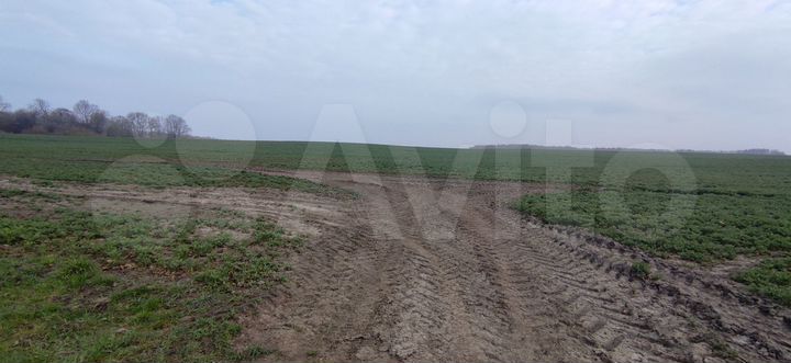 Участок 14,8 га (СНТ, ДНП)