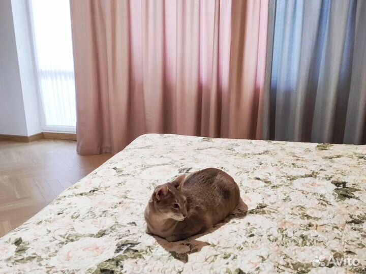 Классические шторы на заказ