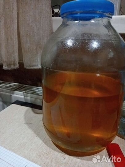 Мёд собранный медведем