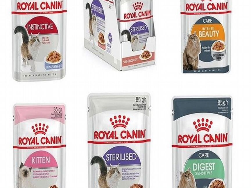 Влажный и сухой корм Royal canin 2,4,10кг