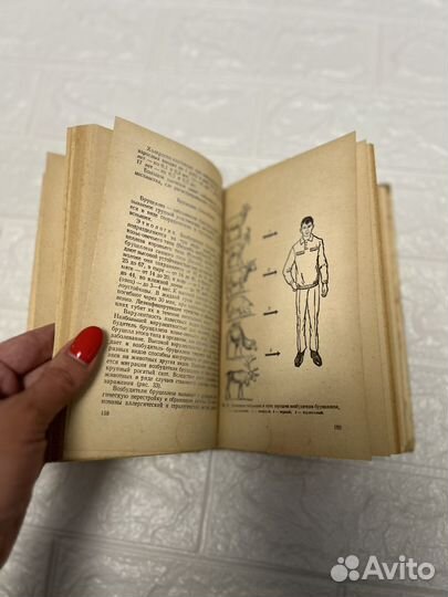 Эпидемиология: учебник. Безденежных И.С. 1981 г