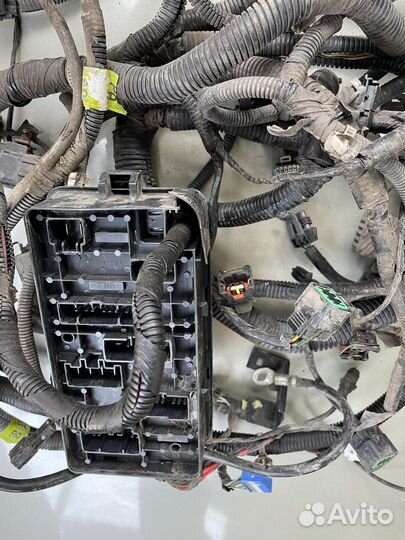 Проводка подкапотная Chevrolet Lacetti седан 1.6