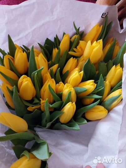 Тюльпаны букеты к 8 марта