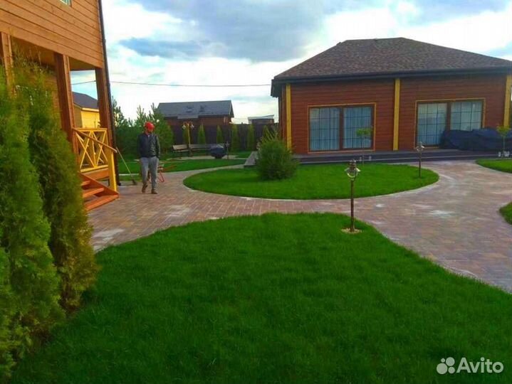 Продажа рулонного газона