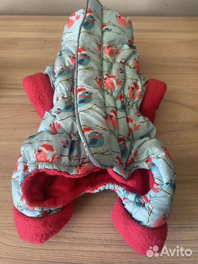 Одежда для собак