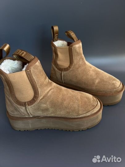 Ugg угги натуральная шерсть