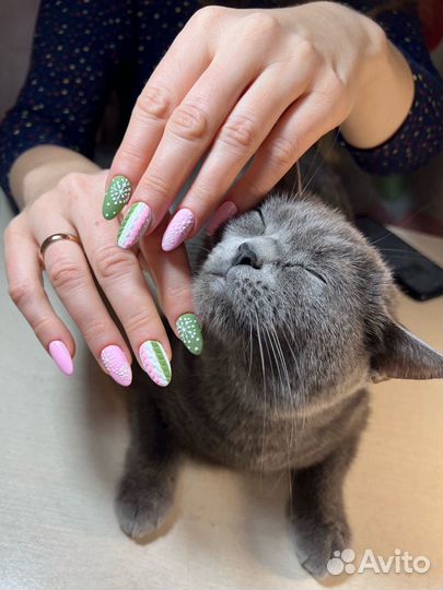 Маникюр с выездом на дом