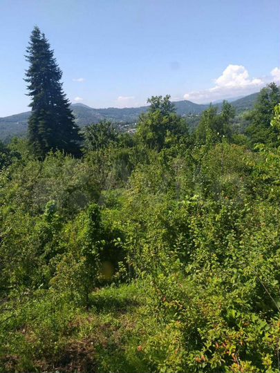 Участок 30 сот. (ИЖС)