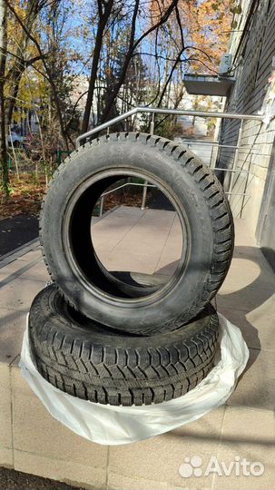 Cordiant Winter Drive 175/65 R14