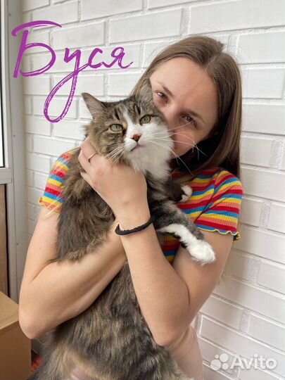 Зоогостиница для животных