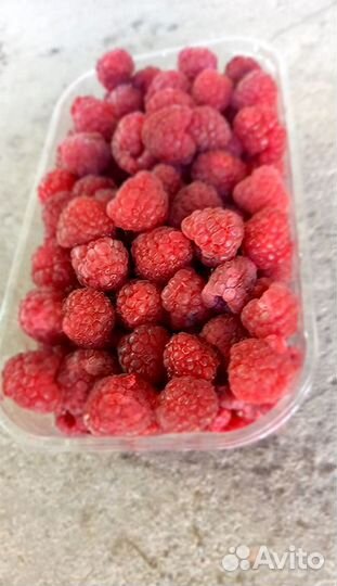 Саженцы малины. Элитные сорта