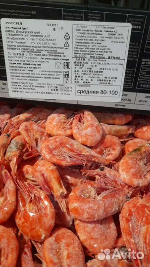 Креветка магаданская