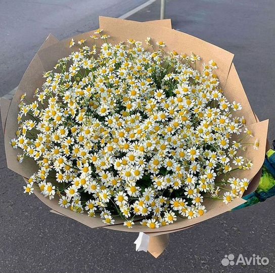 Букеты. Доставка ромашек