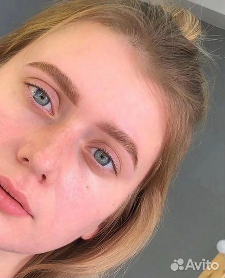 Курс Мастер-Бровист