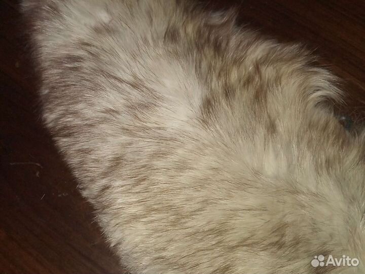 Меховой воротник