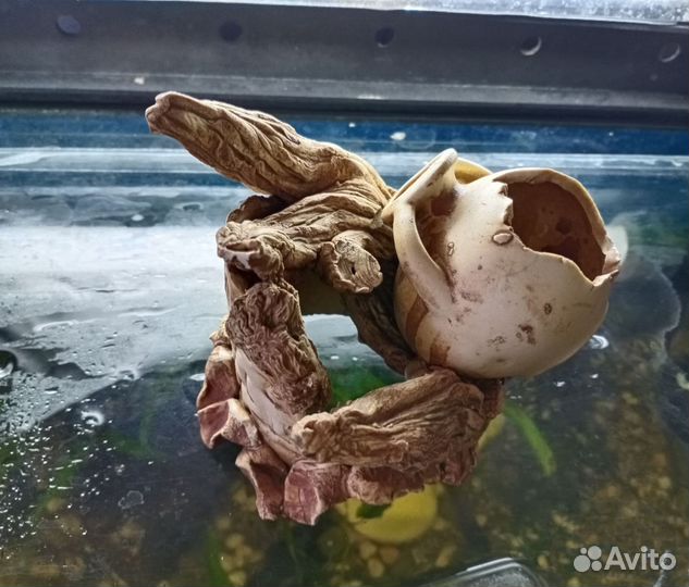 Аквариумный декор