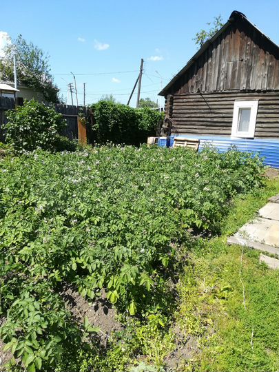 Дом 40 м² на участке 10 сот.