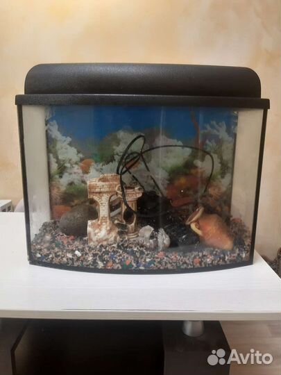 Аквариум