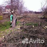 Расчистка участков