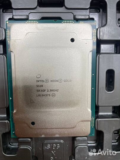Xeon Gold 5118