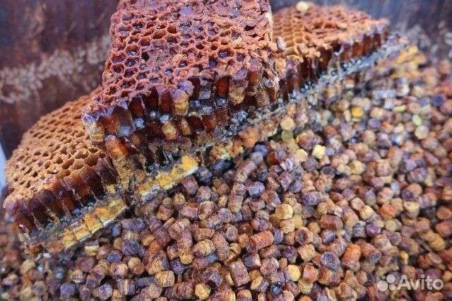 Перга пчелиная