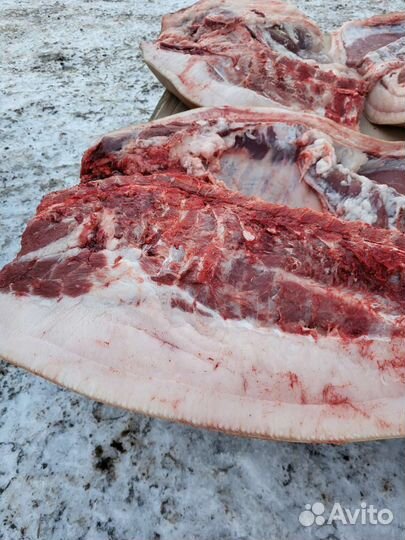 Мясо венгерской мангалицы