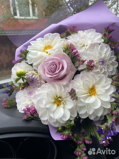 Клубни гергина Эвелин