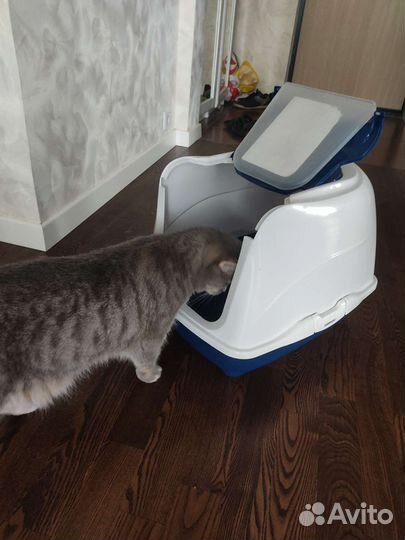 Закрытый домик-лоток для котов