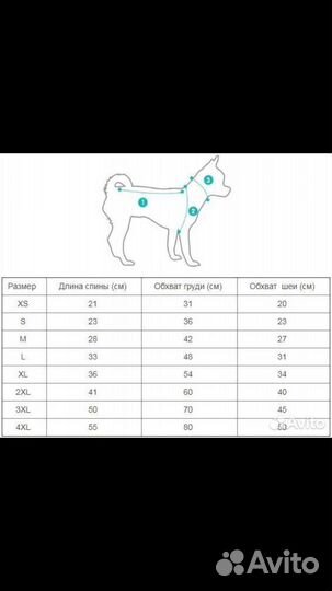Зимний костюм для собак мелких пород