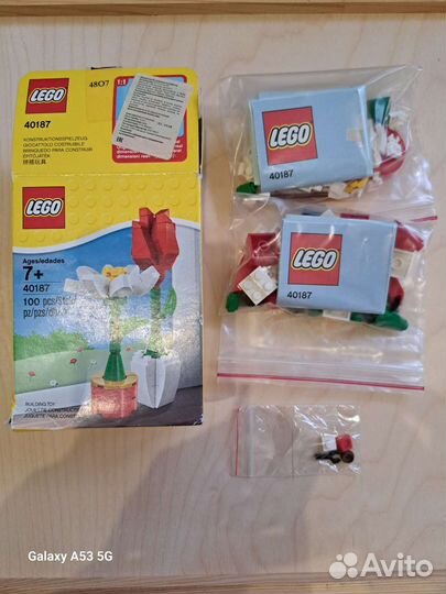Lego Seasonal 40187 Цветы